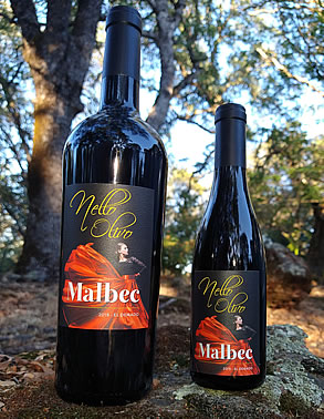 Nello Olivo Malbec two bottle sizes